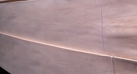 歐楓美楓木皮深受客戶(hù)歡迎！