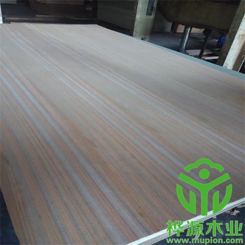 金馬木飾面 金馬木飾面