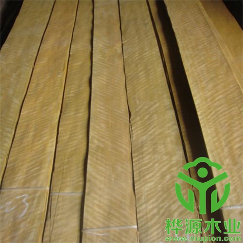 金影木皮0.5mm質(zhì)量保證，排骨金影木皮優(yōu)質(zhì)供應(yīng)