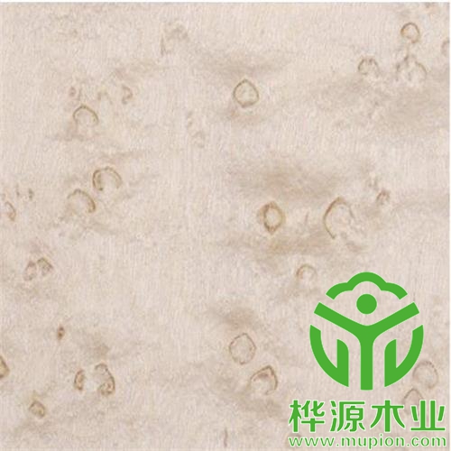雀眼染色木皮0.5mm價(jià)格實(shí)惠 ，染色木皮廠(chǎng)家直銷(xiāo)